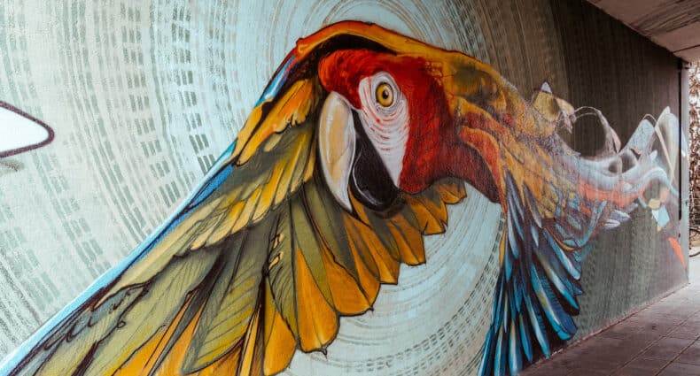 Tipps für die schönsten Graffiti und Streetart Hotspots in Nürnberg