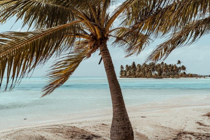 Reiseblog Französisch Polynesien – Alle Reiseberichte & Tipps