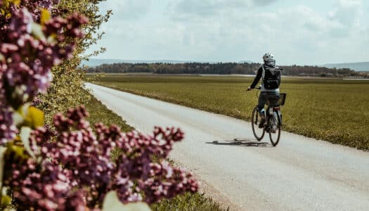 Radtour rund um Schweinfurt – Spargeltour auf den Spuren des fränkischen Spargels