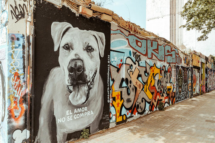 Street Art in Barcelonas Hipster Viertel Poblenou