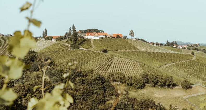Südsteiermark – Meine Tipps für ein langes Wochenende in der « Toskana Österreichs »