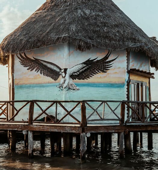 Isla Holbox - Mexiko: Aktivitäten und Tipps für Deinen Urlaub auf der Karibikinsel