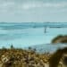 Isla Mujeres – Mexiko: Die schönsten Sehenswürdigkeiten und Erlebnisse auf der Karibikinsel