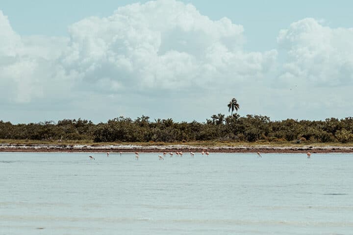 Punta Mosquito mit dem Strand Playa de los Flamingos, Isla Holbox