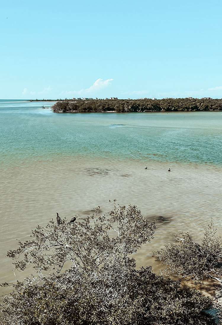 Isla Holbox Mexiko Aktivitäten & Tipps für Deinen Urlaub