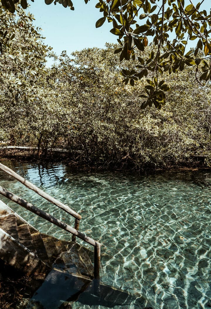 Die Cenote von Yalahau, Holbox