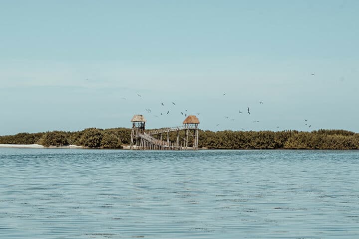 Isla Pájaros, Holbox