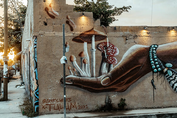 Street Art in Tulum, Yucatan, Mexiko