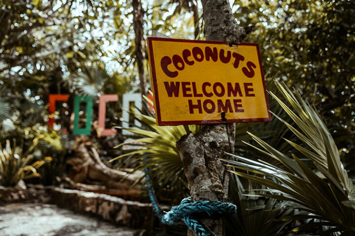 Coconuts, Playa Chen Rio, Cozumel, Mexiko