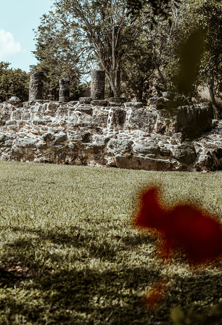 Die Maya Ruinen San Gervasio, Cozumel, Mexiko