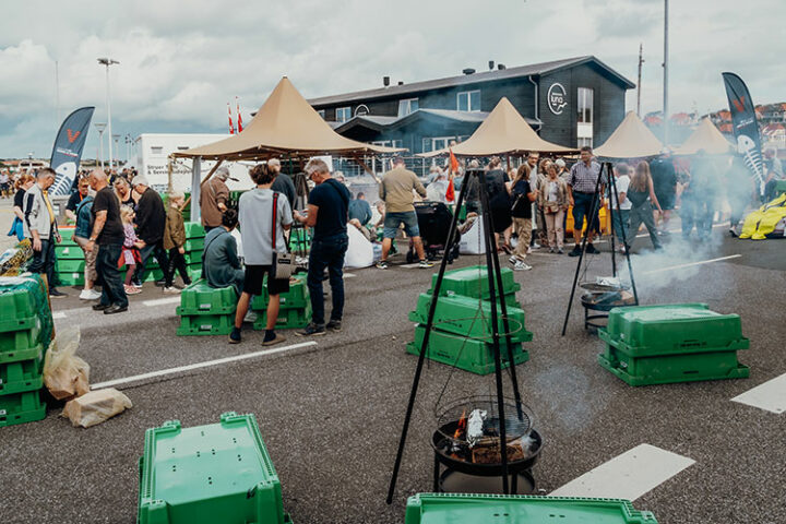 Das Krabbenfest am Hafen von Lemvig