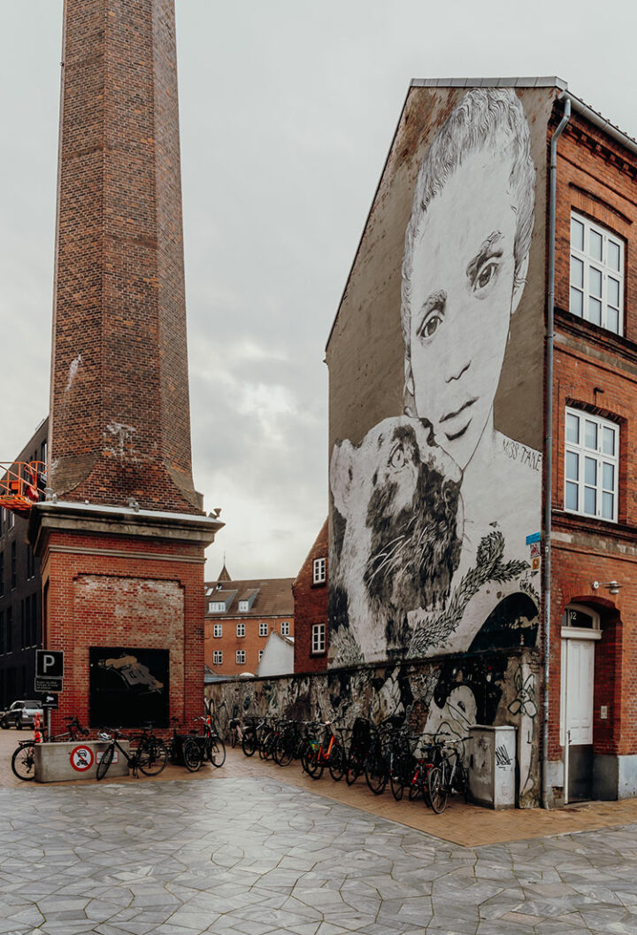 Street Art in Odense - Dänemark