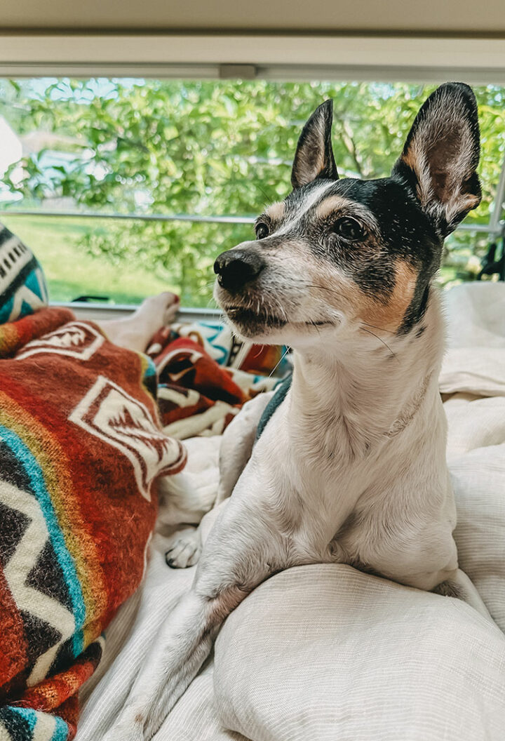 4. Decken & Plaids: für kuschelige Vanlife Momente und den entspannten Schlaf im Camper