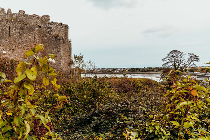 Carlingford auf der Cooley Halbinsel im irischen County Louth