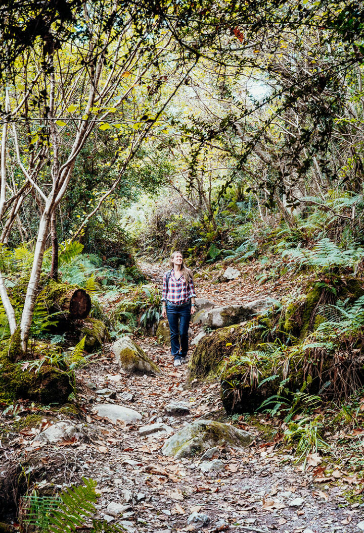 Hike & Haffuns Tour in den Mourne Mountains