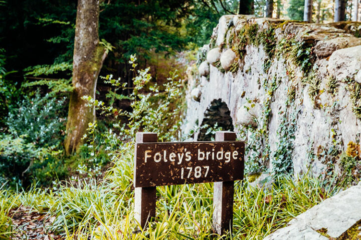 Tollymore Forest Park, Mourne Mountains, Nordirland