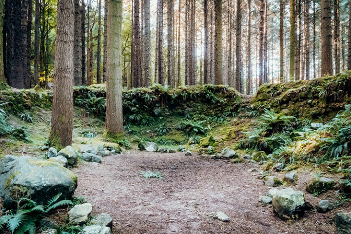 Tollymore Forest Park, Mourne Mountains, Nordirland