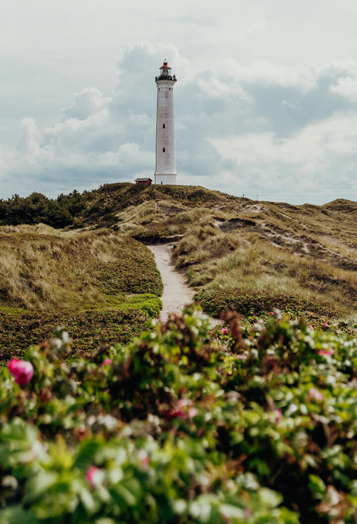Der Leuchtturm Lyngvig am Ringkøbing Fjord, Nordsee Dänemark