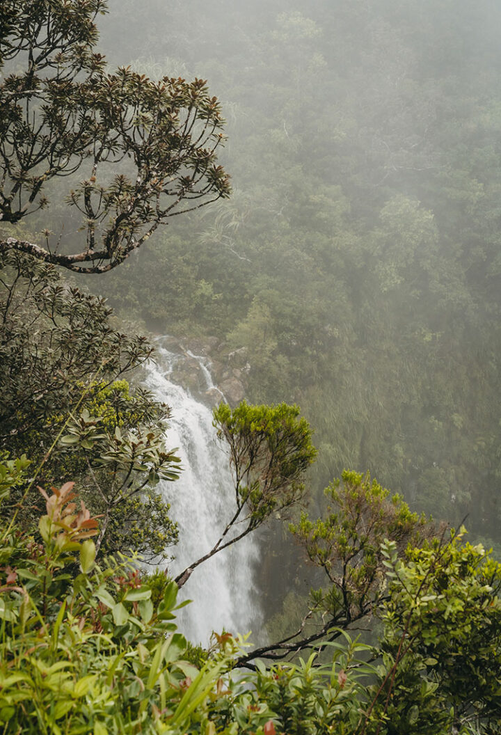 Alexandra Falls, Black River Gorges Nationalpark, Mauritius