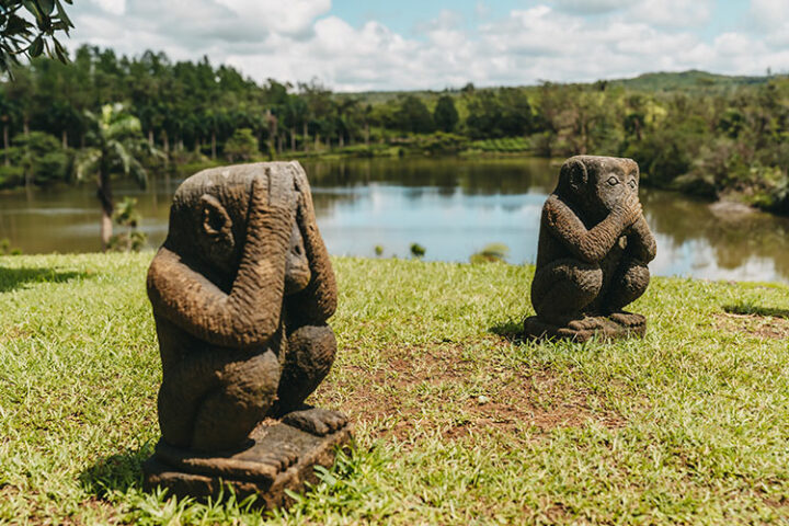 Die Teeplantage Bois Cheri, Sehenswürdigkeit Mauritius