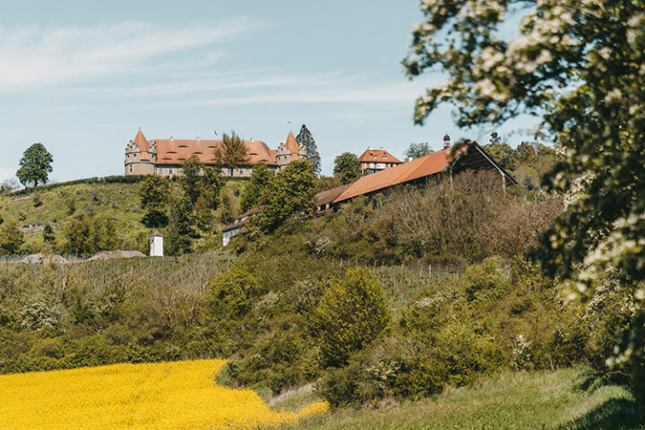 Das Schloss Frankenberg, Weigenheim, Steigerwald