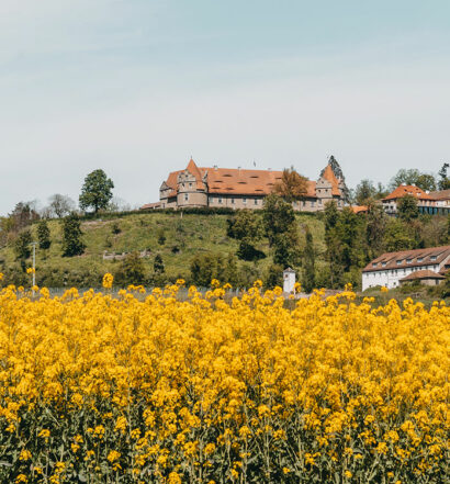 Schloss Frankenberg – Entspannung und Genuss im Steigerwald