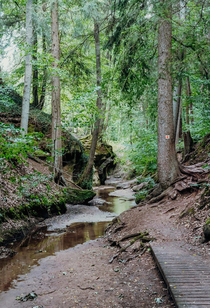 Wanderung von Lauf durch die Bitterbachschlucht