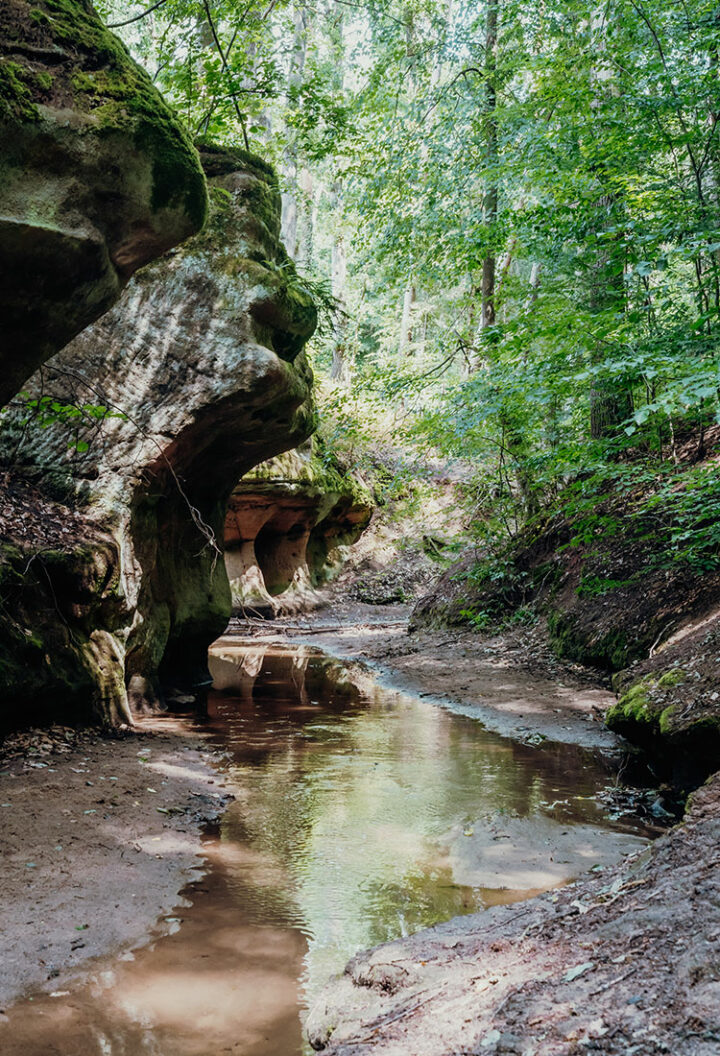 Wanderung von Lauf durch die Bitterbachschlucht