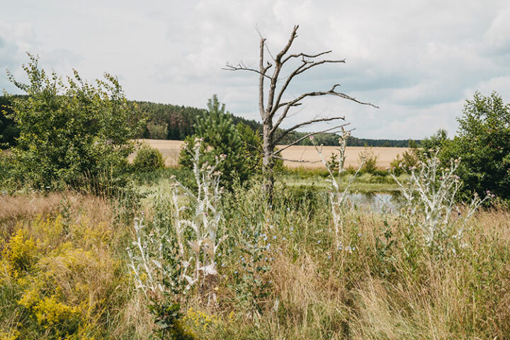 Ausflug nach Cadolzburg