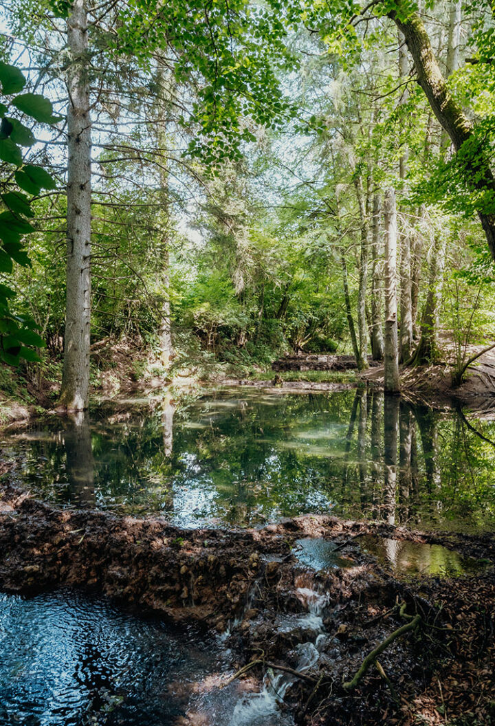 Naturlehrpfad Kaisinger Tal bei Greding