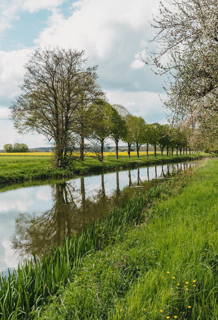 Kunst am historischen Ludwig-Donau-Main-Kanal