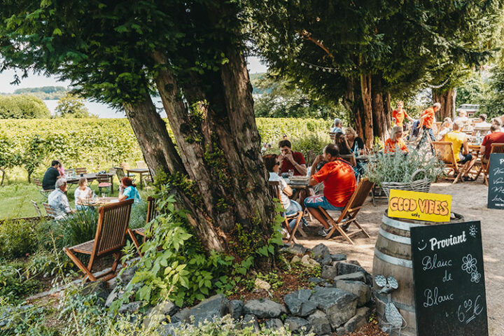 Rheingarten an der Weinstube Gelbes Haus in Eltville