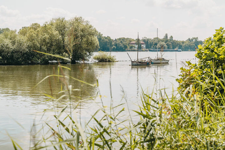 Weinwanderung mit Walk like a local Eltville, Rheingau