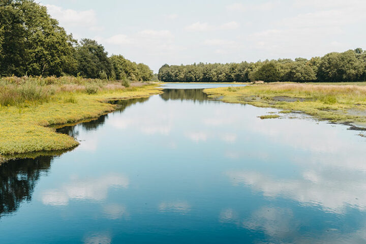 Van Gogh Nationalpark, Brabant, Niederlande