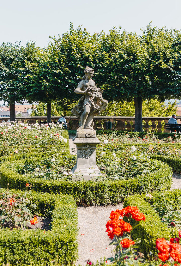 Der Rosengarten in Bamberg, Franken