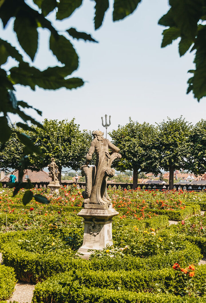 Der Rosengarten in Bamberg, Franken