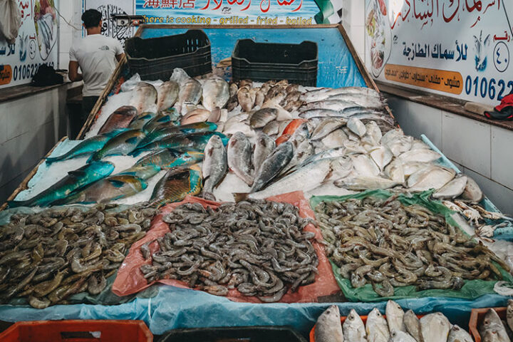 Fischmarkt, Hurghada, Ägypten