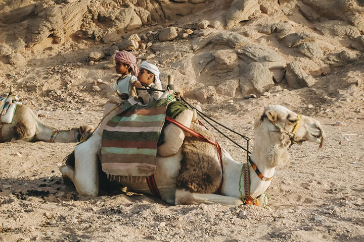 Abenteuer in der Wüste, Hurghada, Ägypten
