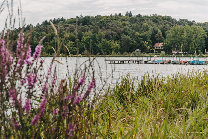 Dechsendorfer Weiher, Erlangen, Franken