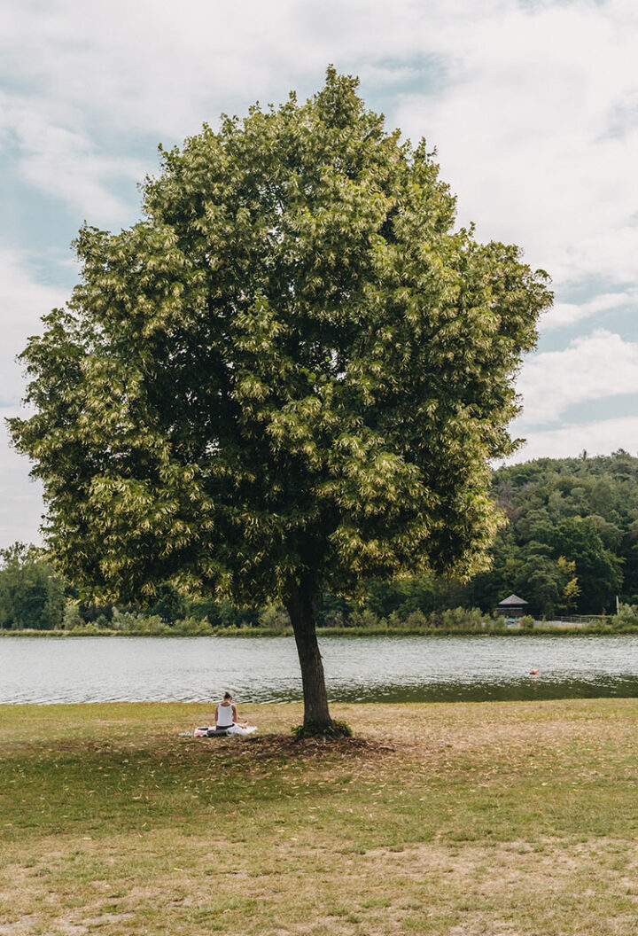 Dechsendorfer Weiher, Erlangen, Franken