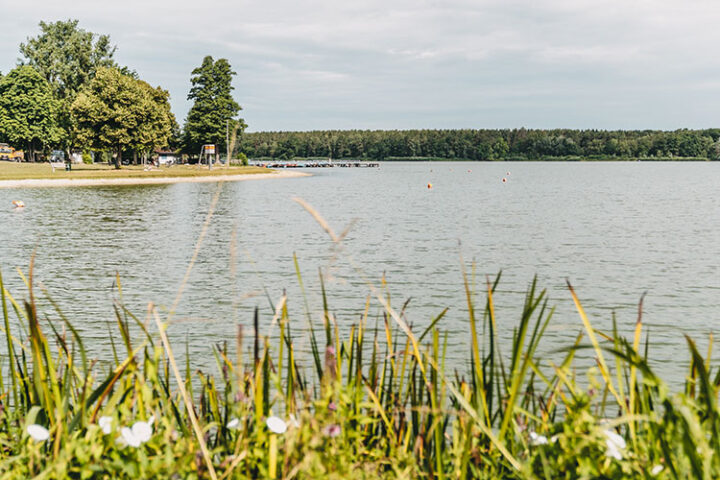 Dechsendorfer Weiher, Erlangen, Franken