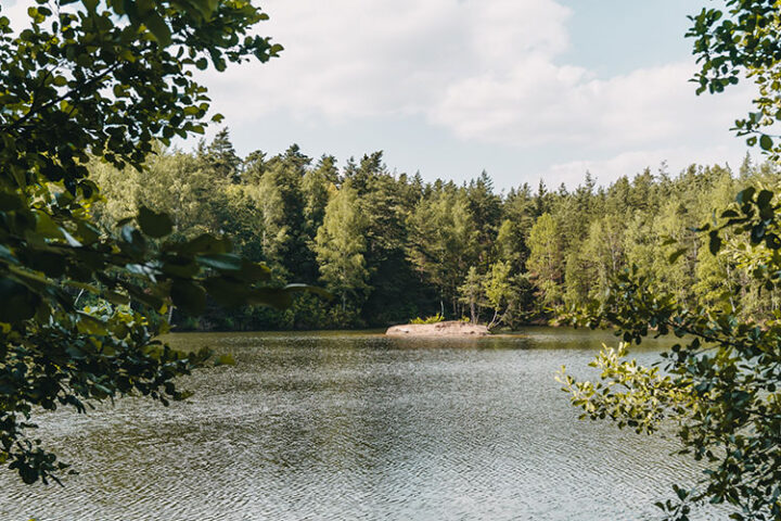 Krugsweiher & Jägersee, Feucht, Nürnberg, Franken