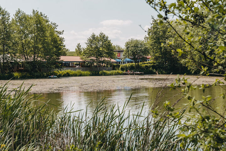 Lauterbacher Weiher, Campingplatz Mohrenhof