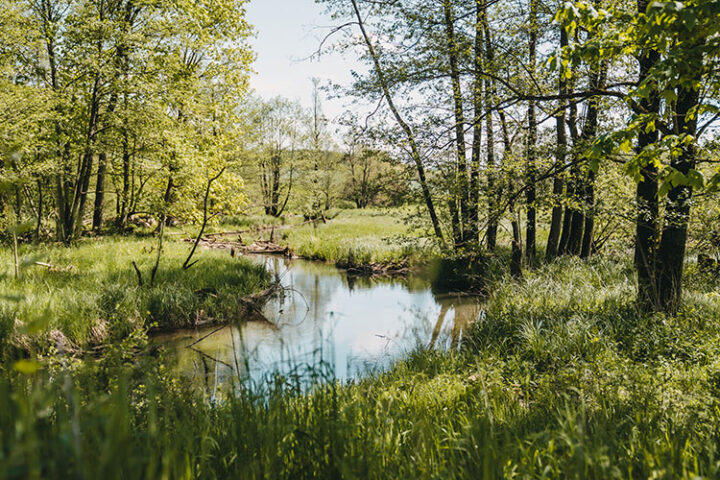 Radtour entlang der Schwarzen Laber, Oberpfalz