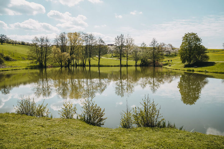 Sklavensee in Kalchreuth, Franken
