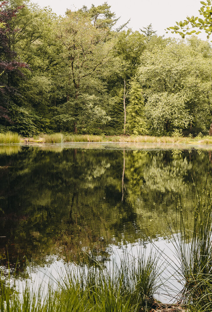 Wandern in Westerwolde in Groningens Südosten