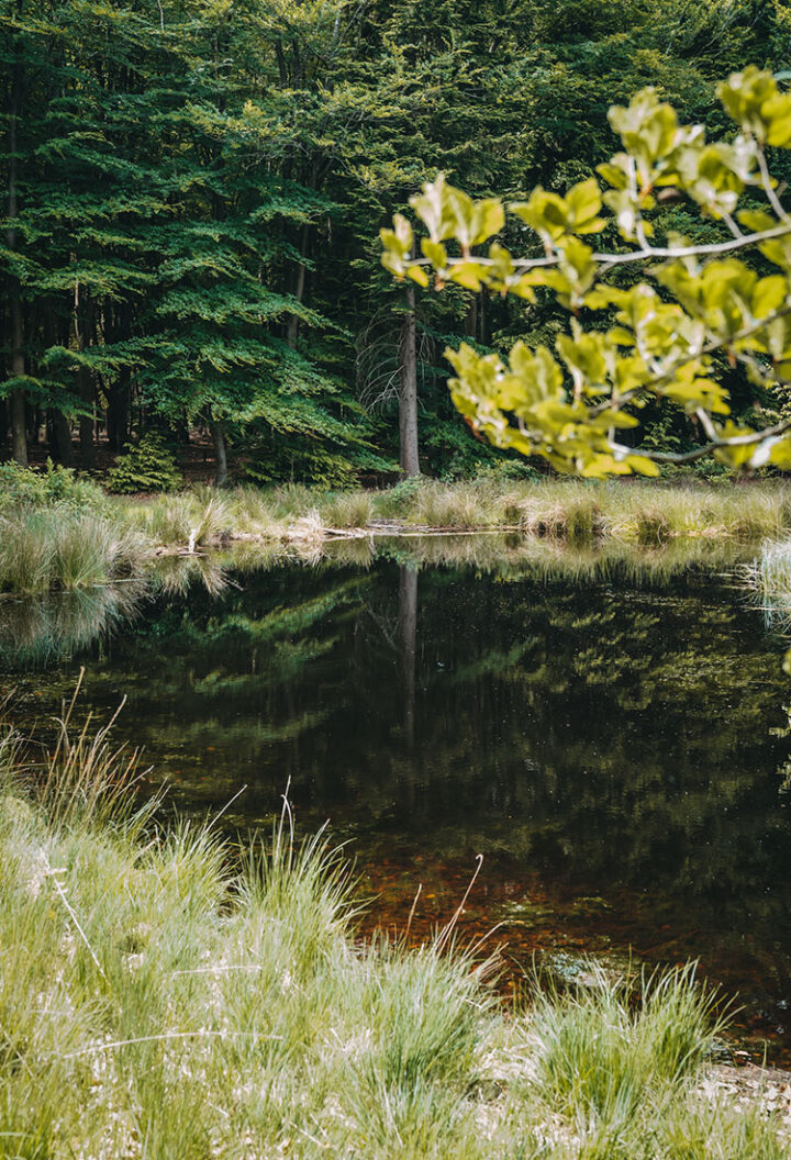 Wandern in Westerwolde in Groningens Südosten