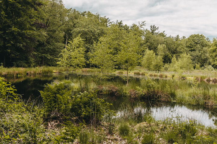 Wandern in Westerwolde in Groningens Südosten