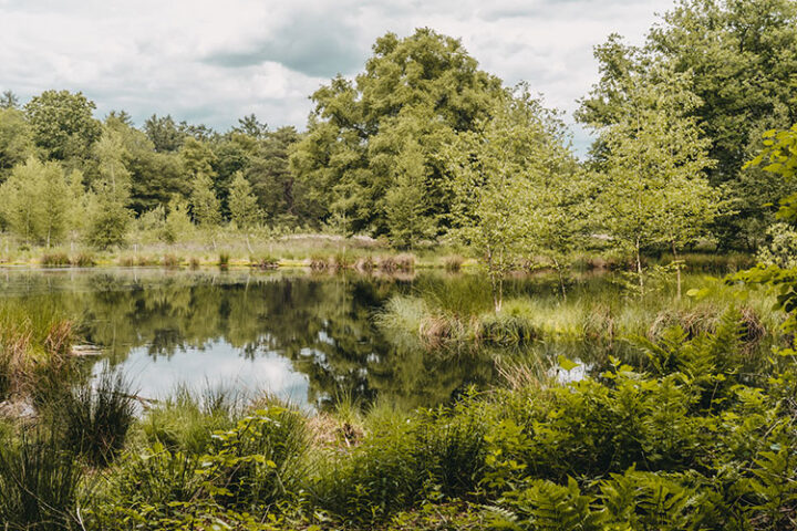 Wandern in Westerwolde in Groningens Südosten