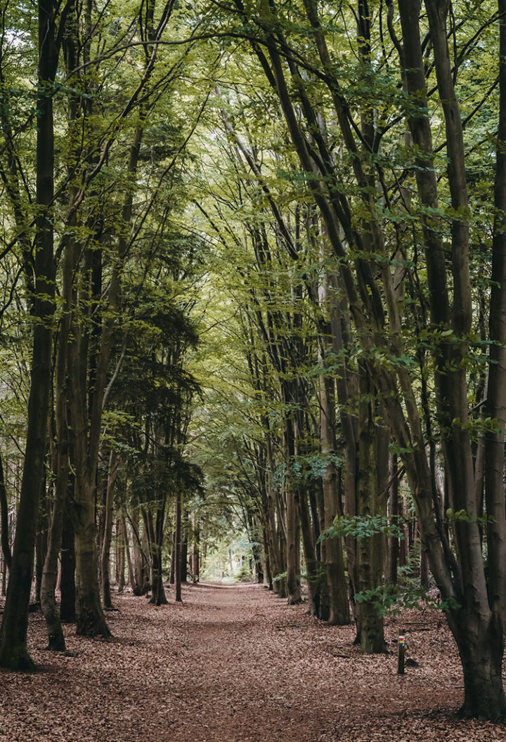 Wandern in Westerwolde in Groningens Südosten